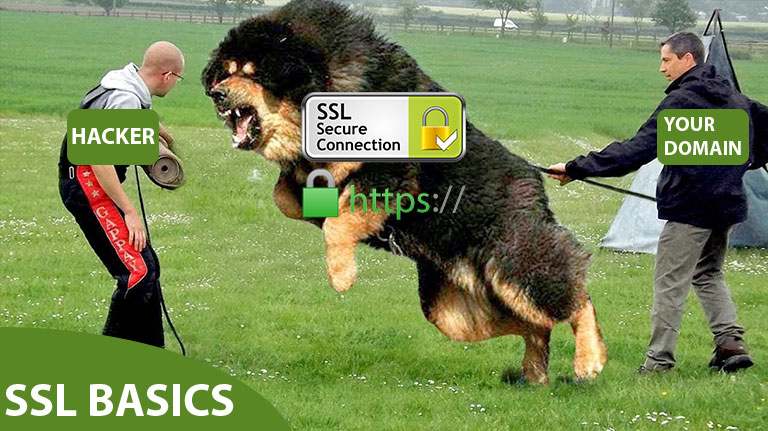 SSL – What you need to know